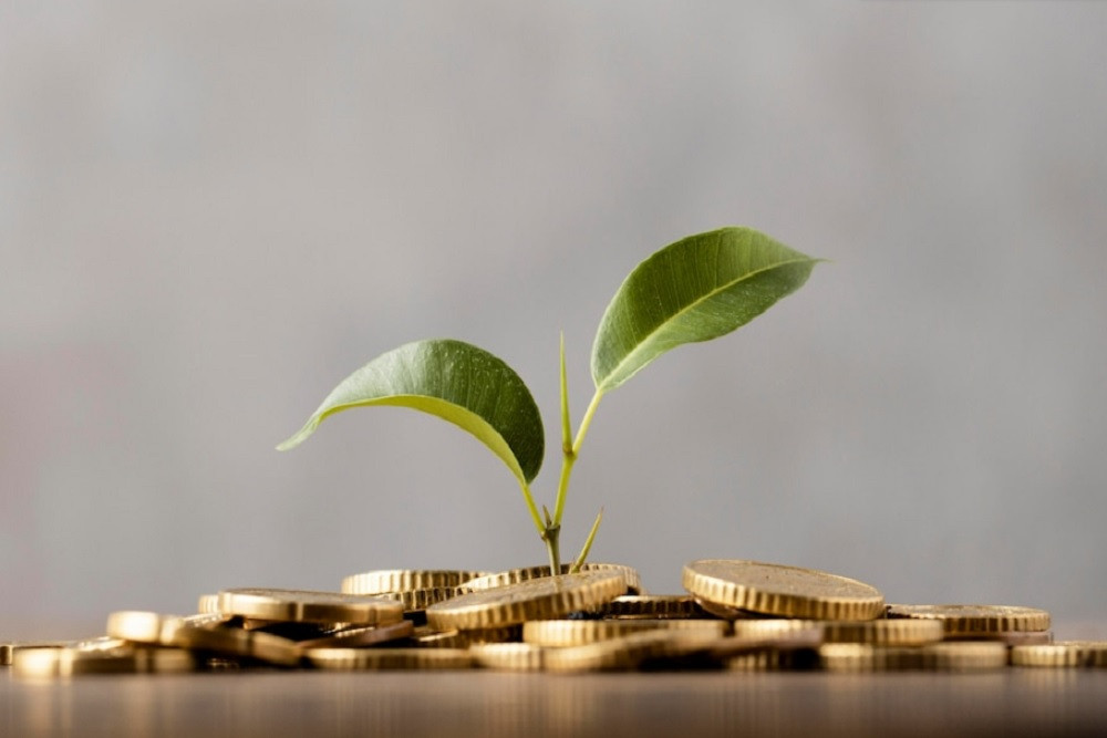Strategi Investasi untuk Gen Z, Kendalikan Konsumsi dan Mulai Bangun Aset Sejak Dini